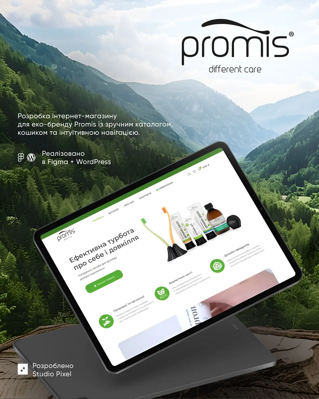 Promis - 1